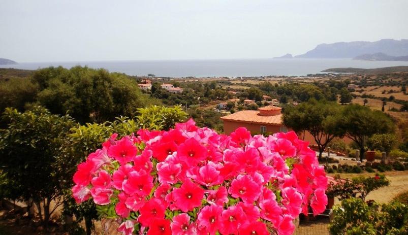 Su Paradisu Appartement Olbia Buitenkant foto